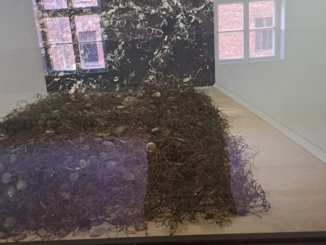 20261016_091116
